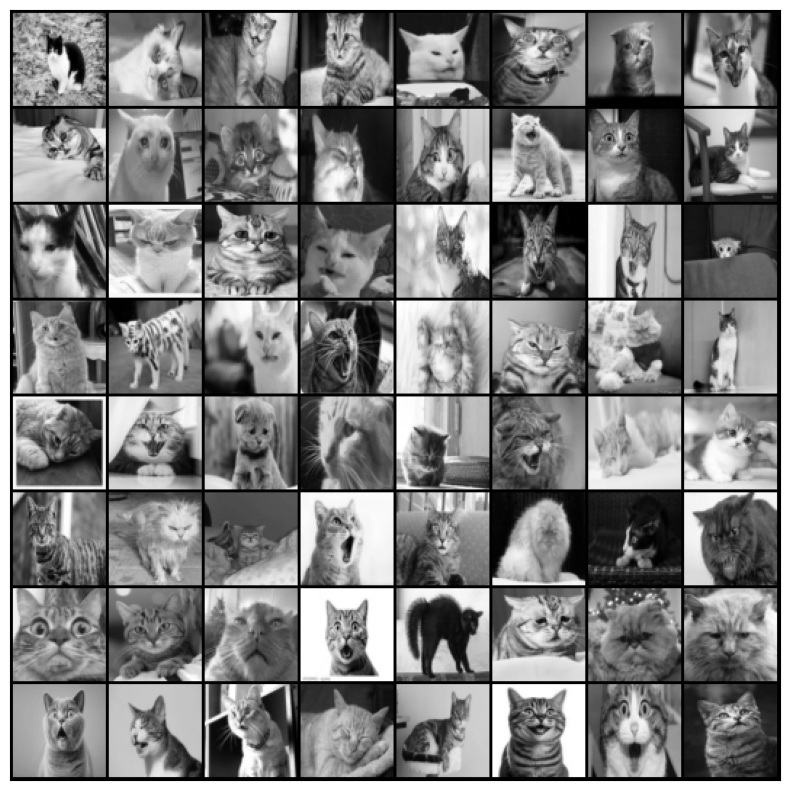 Cat Emotion recognition